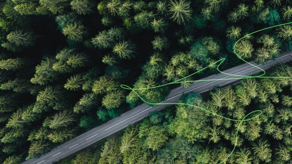 Abt Nachhaltigkeitsbericht. Wald mit Straße von oben.