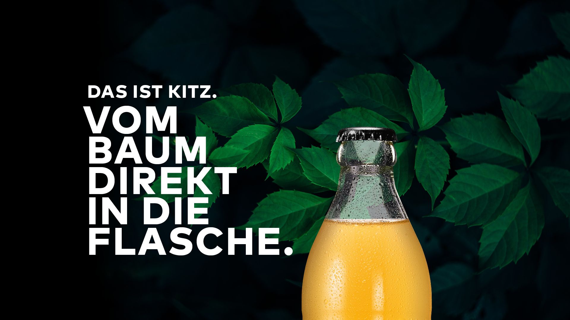 Einführungskampagne für Kitz. Das ist Kitz. Vom Baum direkt in die Flasche.