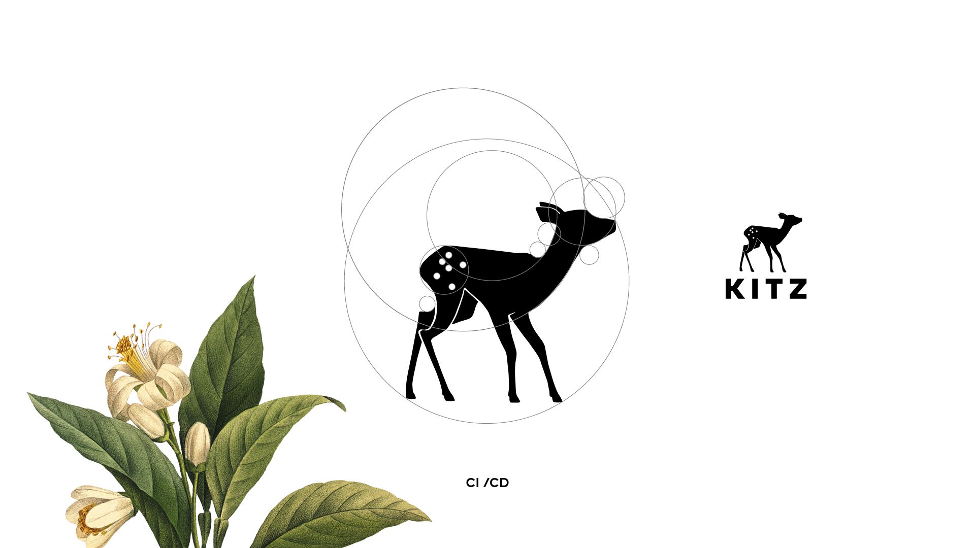 Einführungskampagne für Kitz. Logodeisgn.