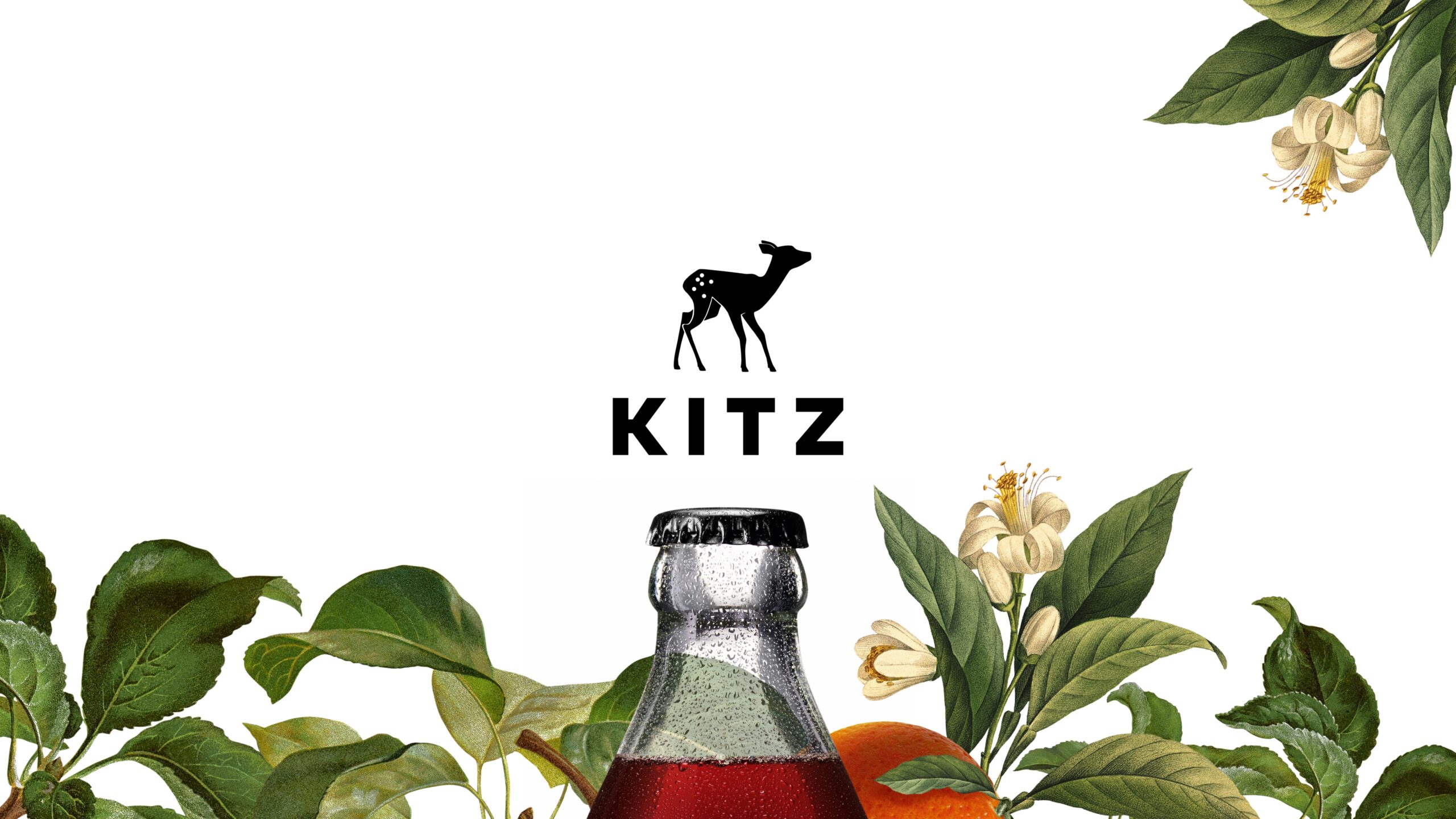 Einführungskampagne Kitz Design